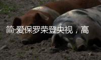 简·爱保罗荣登央视，高频投播谱写品牌新发展篇章