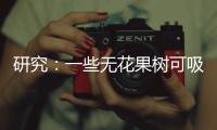 研究：一些无花果树可吸收并“石封”大气中二氧化碳