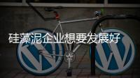 硅藻泥企业想要发展好 渠道建设和品牌建设不可缺