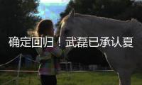 确定回归！武磊已承认夏窗回归上海海港队