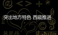突出地方特色 西藏推进立法保护生态文明建设