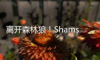 离开森林狼！Shams	：凯尔特人2年550万签下卢卡