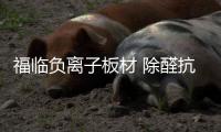 福临负离子板材 除醛抗菌更安全