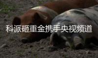 科派砸重金携手央视频道
，厨卫市场再掀波澜