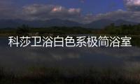 科莎卫浴白色系极简浴室柜 营造雅致舒适的氛围