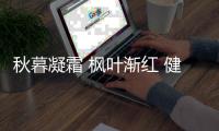 秋暮凝霜 枫叶渐红 健康品质生活从西卡曼不锈钢厨柜开始