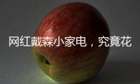 网红戴森小家电�，究竟花落谁家
？