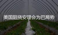 美国阻挠安理会为巴局势发声 华春莹：美方这么做有何目的？