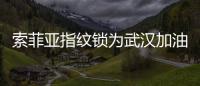 索菲亚指纹锁为武汉加油�：樱花樱花，我想守护你