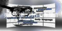 类案入库：可作参考理由，不作裁判依据