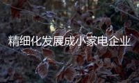 精细化发展成小家电企业的必然趋势