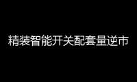 精装智能开关配套量逆市大增，市场前景可观