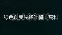 绿色创变先锋叶梅：高科技时代�	，生态文学如何影响人心？