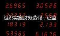 组织实施财务造假，证监会拟对许家印采取终身证券市场禁入措施