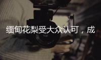 缅甸花梨受大众认可�，成为红木界的“新贵”!