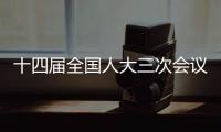 十四届全国人大三次会议闭幕会表决通过关于最高人民检察院工作报告的决议