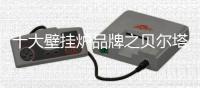十大壁挂炉品牌之贝尔塔：巧舌不如实芯