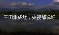 千田集成灶	，央视都说好