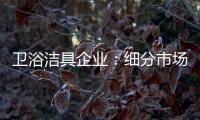 卫浴洁具企业：细分市场 重新规划布局