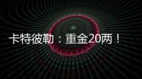 卡特彼勒

：重金20两	！拿下
	！