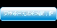 厌倦苍白无趣的墙面
，萨拉玛艺术漆给你惊艳想象!