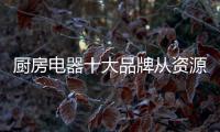 厨房电器十大品牌从资源、渠道	、设计三方面谋发展