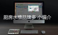 厨房水槽品牌多 小编介绍几个厨房水槽品牌