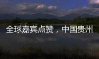 全球嘉宾点赞�，中国贵州正点绿成“金”