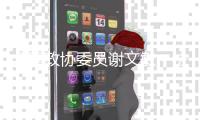 全国政协委员谢文敏：法院判决无法执行
，相当于法律“白条”