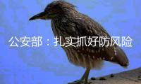公安部：扎实抓好防风险
、保安全、保畅通工作