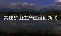 共建矿山生产建设创新联合体 湖南楚湘建工到访中联重科