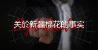关於新疆棉花的事实