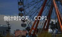 倒计时10天
，COP15第二阶段会议如何化解分歧
？