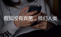 假如没有真菌
�，我们人类还能存活于地球吗？