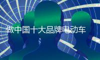 做中国十大品牌电动车 认清新常态谋划新发展