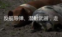 反舰导弹	、潜射武器	
，走近航展里的“海防利器”丨2022航展