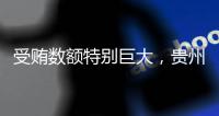 受贿数额特别巨大，贵州省政协原副主席陈晏被提起公诉