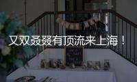 又双叒叕有顶流来上海

！商场5层全部挤满
	，有人凌晨3点到门口排队.......