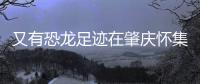 又有恐龙足迹在肇庆怀集被发现！发现者为大三学生
