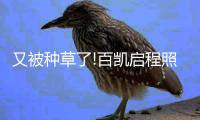 又被种草了!百凯启程照明真的是品质一族的福利