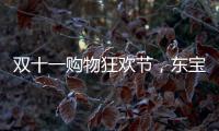 双十一购物狂欢节	，东宝床垫为爱“让利”