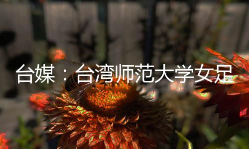但处理程序并不适当