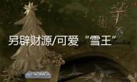 另辟财源/可爱“雪王”产品化 开拓5亿年收