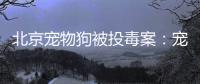 北京宠物狗被投毒案�：宠物如何定价，犬主能否诉精神赔偿