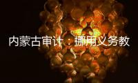 内蒙古审计：挪用义务教育经费2.65亿元，18名公职人员入股银行