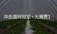 冲击温网冠军+大满贯100胜！斯瓦泰克生涯大满贯战绩99胜20负