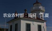 农业农村部：抓好“三夏”生产 努力夺取全年粮食丰收