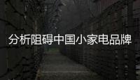 分析阻碍中国小家电品牌推广的主要因素