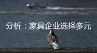 分析：家具企业选择多元化发展还是专业化道路?