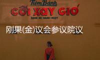 刚果(金)议会参议院议长递交辞呈